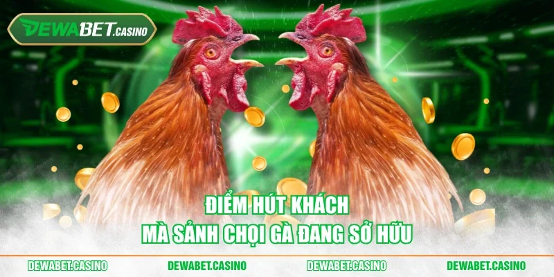 Điểm hút khách mà sảnh chọi gà đang sở hữu