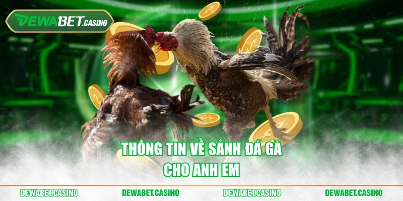 Thông tin về sảnh đá gà cho anh em